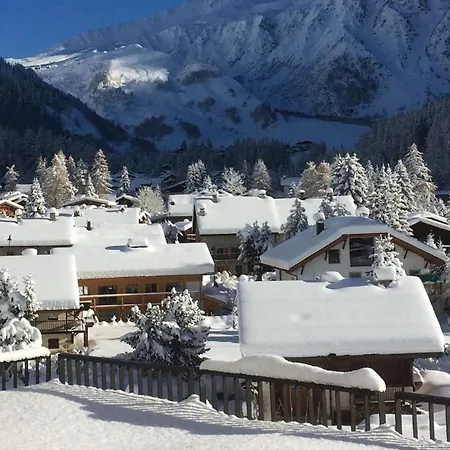 Appartement Vue Mont Blanc, Balcon Et Parking Prive